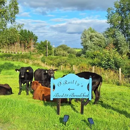 O'reilly's Killeshandra Oda ve Kahvaltı