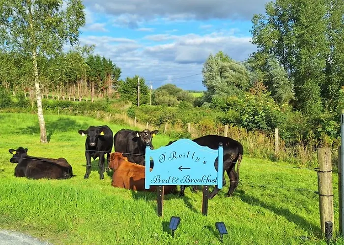 O'reilly's Killeshandra Bed & Breakfast